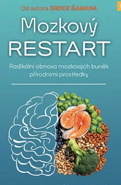 Mozkový restart