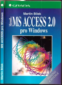 MS Access 2.0 pro Windows