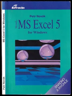 MS Excel 5