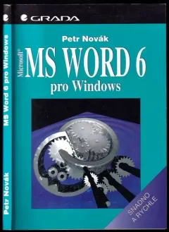 MS Word 6 pro Windows