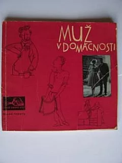 Muž v domácnosti