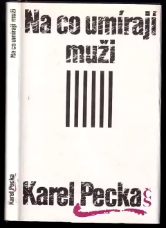 Na co umírají muži