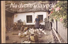 Na dvoře i na vodě