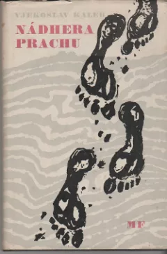 Nádhera prachu