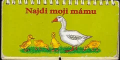 Najdi moji mámu