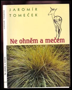 Ne ohněm a mečem