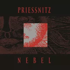Nebel