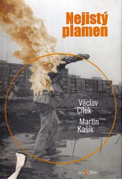 Nejistý plamen