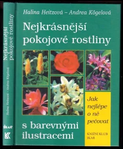 Nejkrásnější pokojové rostliny