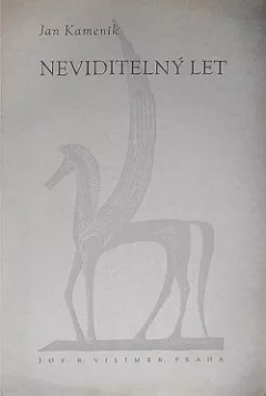 Neviditelný let