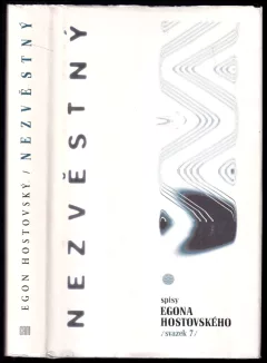 Nezvěstný