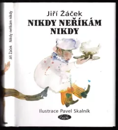 Nikdy neříkám nikdy