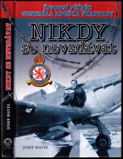 Nikdy se nevzdávat