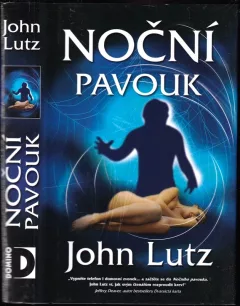 Noční pavouk