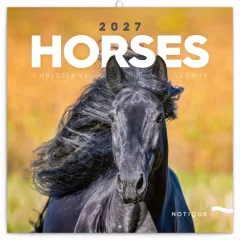 NOTIQUE Grid calendar Horses – Christiane Slawik 2027, 30 x 30 cm