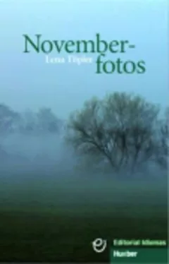 Novemberfotos Buch