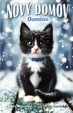 Nový domov – Domino