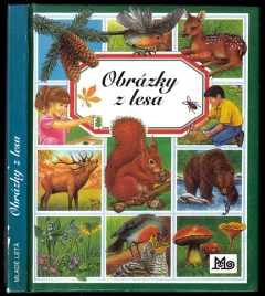 Obrázky z lesa