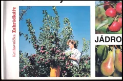 Obrazový atlas jádrovin