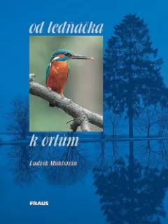 Od ledňáčka k orlům