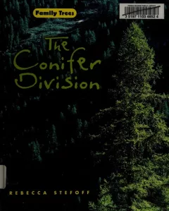 The conifer division