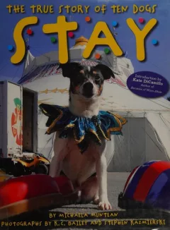 Stay