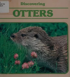 Discovering otters