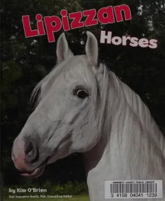 Lipizzan horse