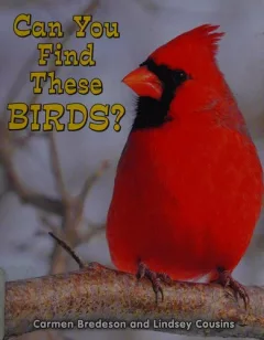 Can you find these birds?