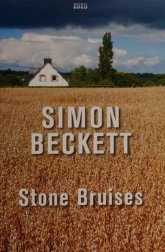 Stone bruises