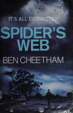 Spider's web
