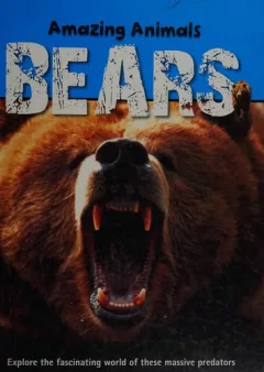 Bears