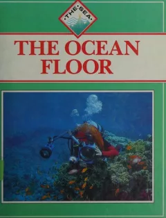 The ocean floor
