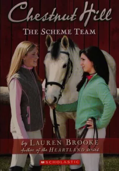 The scheme team