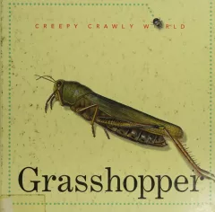 Grasshopper