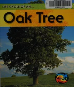 Life cycle of an-- oak tree