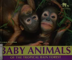 Baby animals of the tropical rain forest