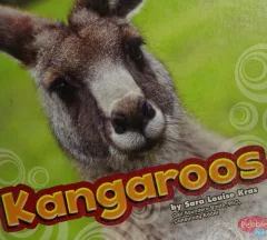Kangaroos