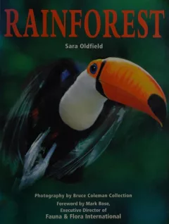 Rainforest