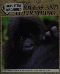 Mountain gorillas and their young