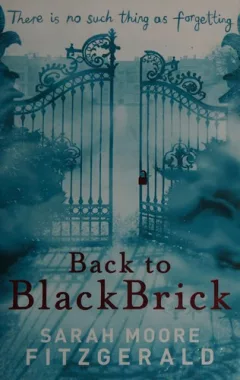 Back to Blackbrick