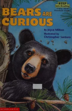 Bears are curious