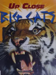 Big cats
