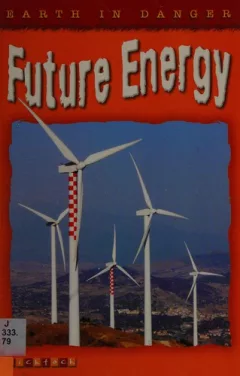 Future energy
