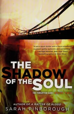 The shadow of the soul