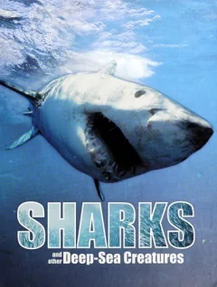 Sharks and other deep-sea creatures