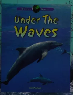 Under the waves