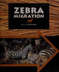 Zebra migration
