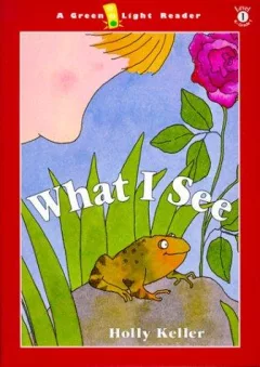 What I see