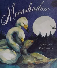 Moonshadow